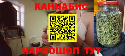 spice Новодвинск