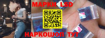 spice Новодвинск