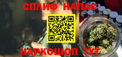 spice Новодвинск