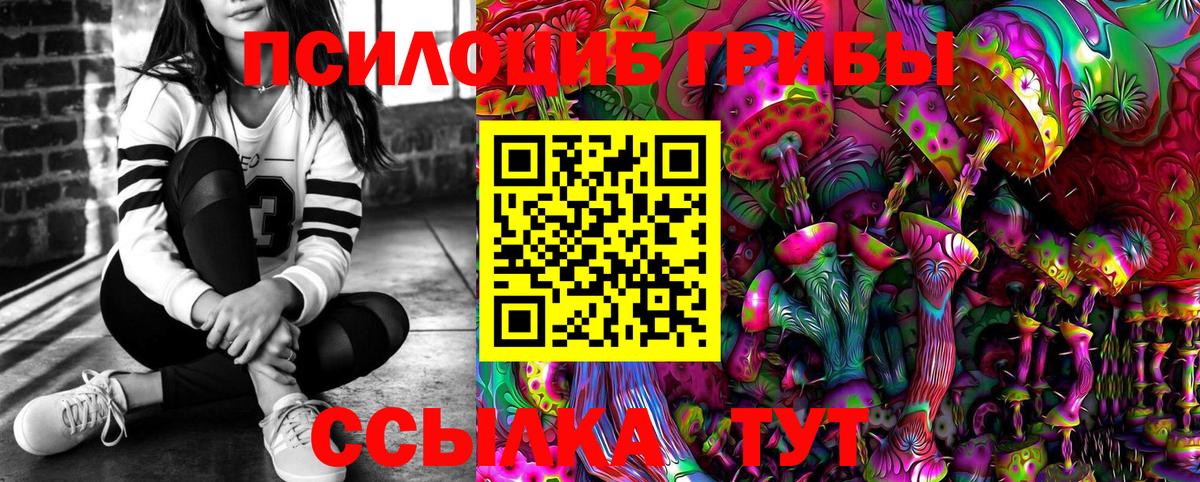 Славгород  Псилоцибиновые грибы прущие грибы  Вход с VPN 